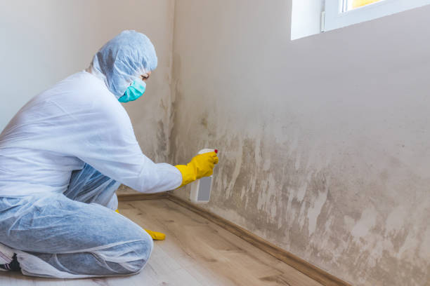 Mold Remediation specialist working in Rebersburg